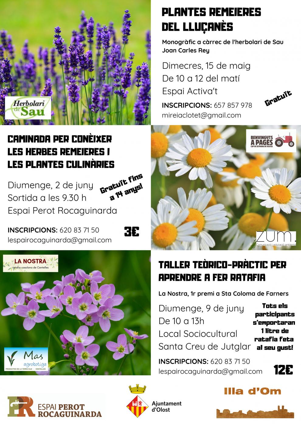 Activitats vinculades a les herbes remeieres